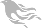 Phoenix is a web framework for the Elixir programming language that gives you peace of mind from development to production. Phoenix framework logo